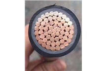 行业首款高层建筑专用防火电线问世 尊龙凯时游戏电缆领跑