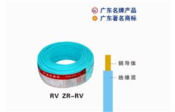 RV ZR-RV尊龙凯时游戏电缆