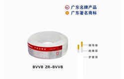 BVVB ZR-BVVB尊龙凯时游戏电缆